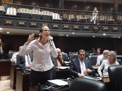 Embajada de México recibe informes de las gestiones del Parlamento: diputada de Venezuela