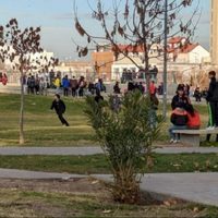 Adolescentes se convocaron por las redes y armaron una guerra campal en pleno centro de Neuquén