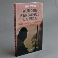 Una radiografía de las autodefensas