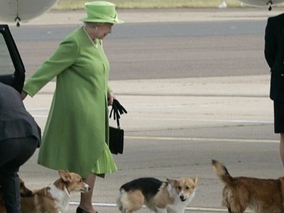 Esto pasará con los perros corgi de la reina Isabel II tras su muerte