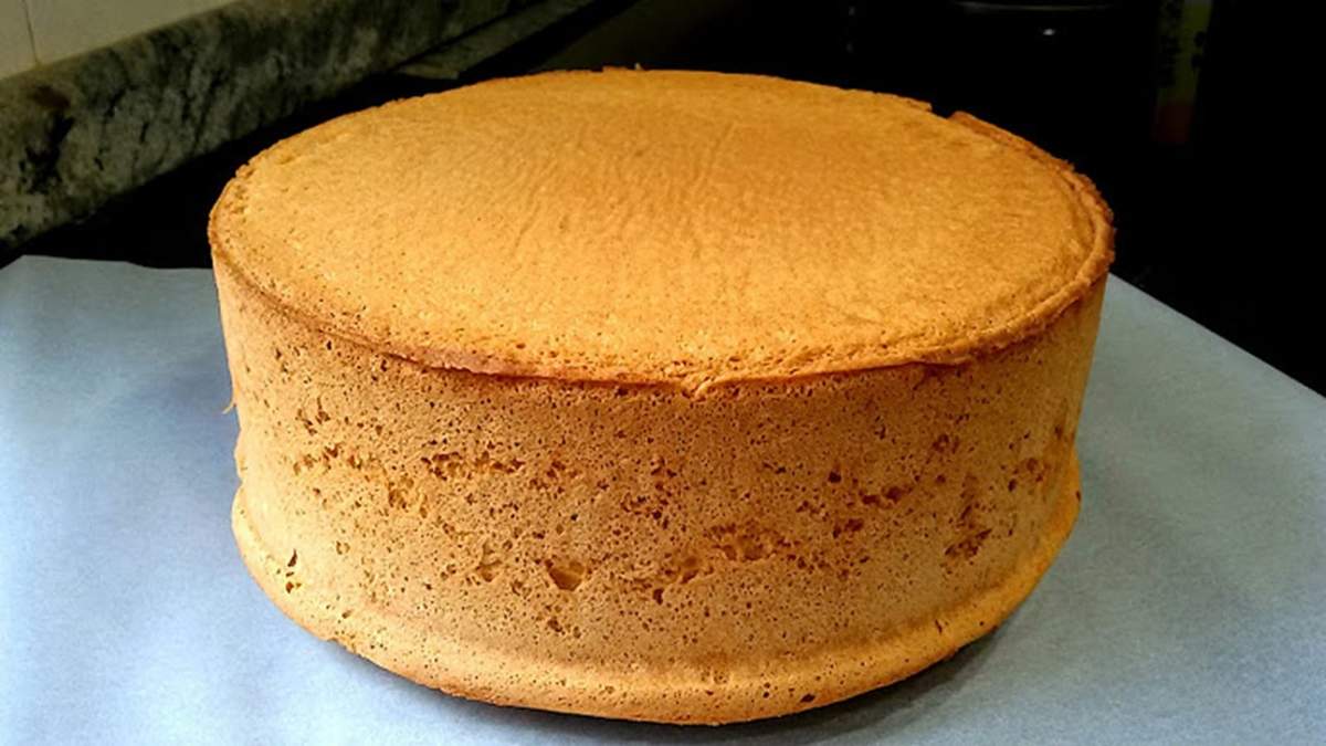Torta. Fuente: (X)