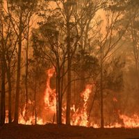 Llegó la lluvia a Australia pero no fue suficiente para sofocar los incendios que siguen arrasando al país