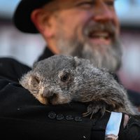 Día de la Marmota: Phil predice 6 semanas más de clima invernal en EU