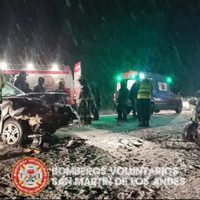 Otra vez un animal suelto en la ruta causó un accidente en San Martín de los Andes