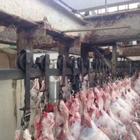 Trabajadores denuncian insalubridad e inseguridad en rastro de Guadalajara