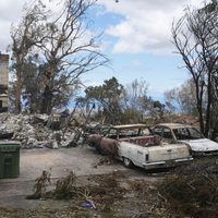 Hawai trabaja para identificar a los 99 muertos de los incendios mientras busca entre las ruinas