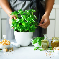 5 plantas aromáticas que usás un montón y que podés cultivar cerca de tu cocina en una minihuerta