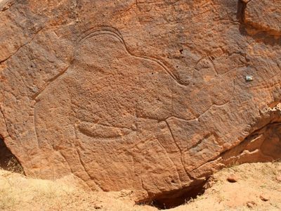 Científicos encuentran grabados rupestres de animales a tamaño natural en desierto de Arabia Saudita