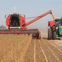 SRA: “Nos preocupa el normal abastecimiento y los sobrecostos que estamos afrontando”