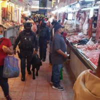 Chilpancingo se queda sin pollo por ofensiva del crimen organizado