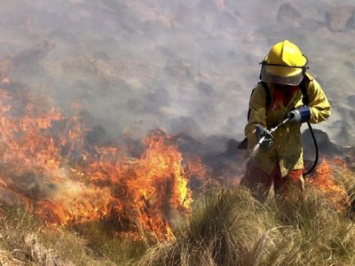 El fuego no da tregua: hubo nuevos focos de incendio en Córdoba