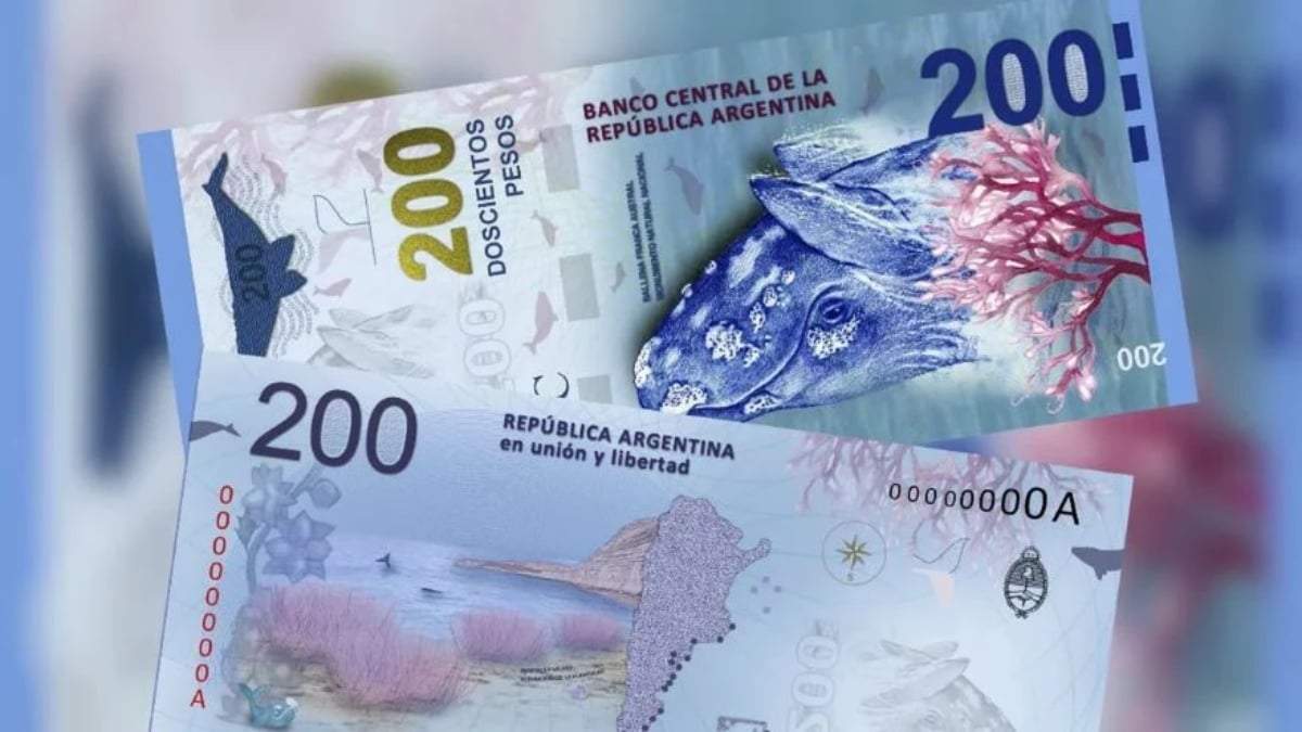 Billetes. Fuente: (Instagram)