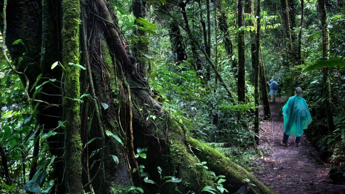 Un ejemplo de cuidado de la ecología. Fuente: (Instragam)