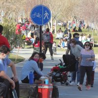 Neuquén: llegó la variante del Reino Unido y aumentó la circulación de la Manaos