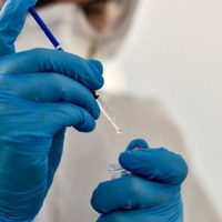 Nuevas vacunas contra el cáncer se obtendrán de las células del paciente