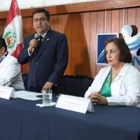 Perú declarará estado de emergencia por dengue en más del 83% de su territorio