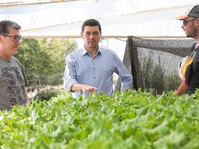 Koopmann apunta a aumentar la producción y exportación de frutas y carnes