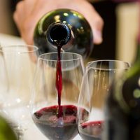 Llevan vino a domicilio para celebrar día del Malbec