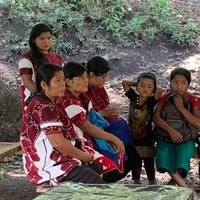 Con carta a AMLO, urgen frenar violencia y desplazamientos en Chiapas