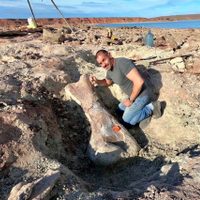 La bajante de un lago permitió encontrar un dinosaurio gigante en Neuquén