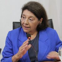 La intendente del Parque Nacional Lanín aseguró que el incendio en Valle Magdalena no se inició por causas naturales