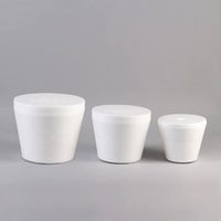 No tires los envases de telgopor ni los corchos, y hacé esta maceta hermosa y delicada para tus plantas