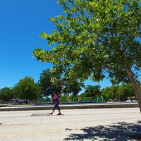 Clima en Neuquén: domingo de calor sofocante con máximas de hasta 42 grados