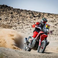 Rally Dakar 2021: así está la clasificación general de los protagonistas argentinos