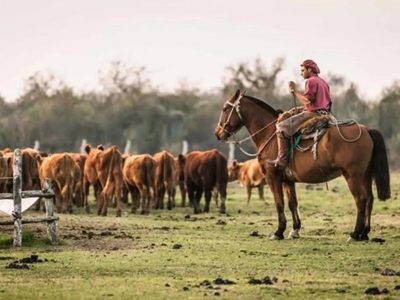 Homologaron la paritaria rural: a cuánto asciende el sueldo básico