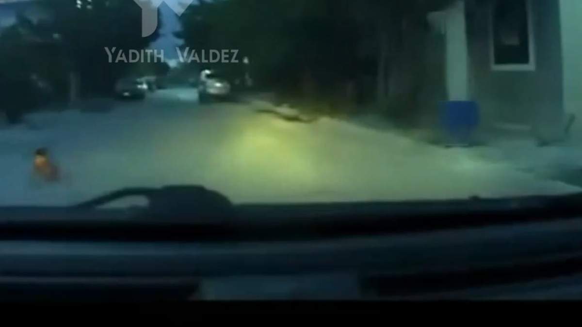 Bebé gateando en la calle