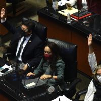 Gastar la pólvora en infiernitos: la revocación del mandato