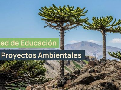 El programa “Raíces Jóvenes, Futuro Sostenible” se implementará en el norte neuquino