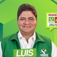 TEPJF tira elección de diputado electo del Verde por ser deudor alimentario moroso