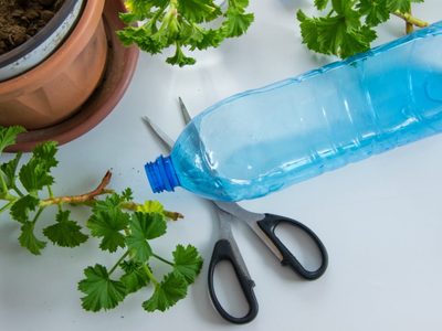 Guardá varias botellas plásticas: creá estos contenedores de verduras súper útiles para tu cocina