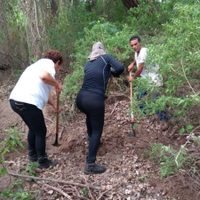 Rastreadoras hallan cinco osamentas en fosas clandestinas en Sinaloa