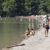 "Roedores muertos": Todo se normaliza y habilitaron nuevas áreas en Villa La Angostura
