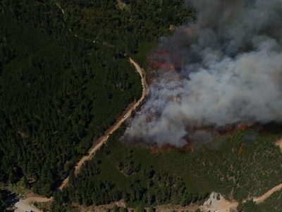 Incendio forestal en Puerto Patriada: “Fueron casi 12 horas de incertidumbre”, relató una influencer neuquina
