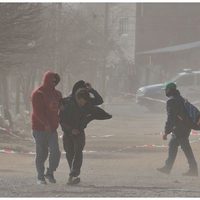 Los fuertes vientos causaron estragos en Neuquén