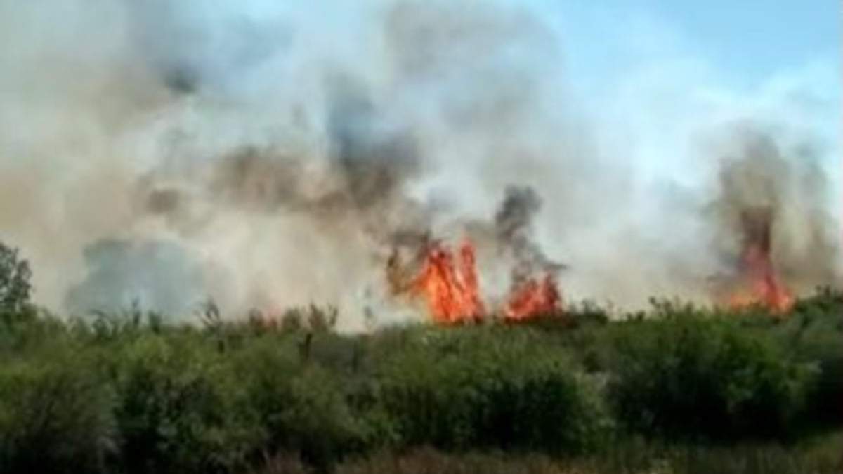 El incendio duró más de ocho horas. Fuente: (Facebook)