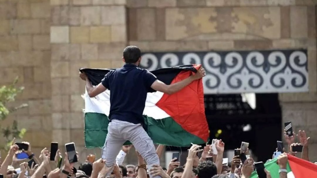 7_palestina 7 (1)