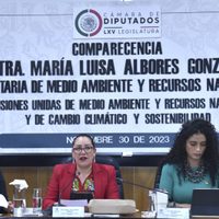Tren Maya enfrenta a la titular de Semarnat y diputados