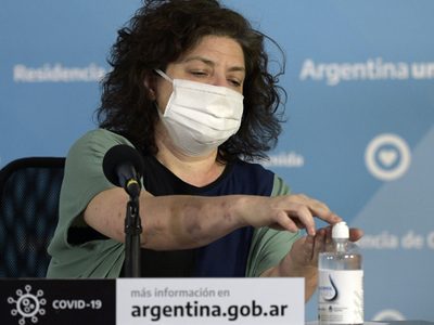Coronavirus en Argentina: reportan que "hay una estabilización y una curva en descenso"