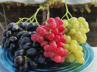 No tires las botellas de salsa de tomate y usalas para conservar uvas durante todo un año
