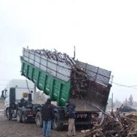 Reforzaron la entrega de leña en los barrios de Neuquén que carecen de red de gas