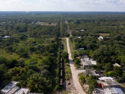 Jueza concede tres suspensiones definitivas contra el Tren Maya