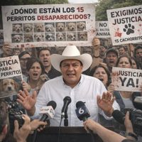 Acusan al alcalde de Tlayacapan de retirar perros comunitarios previo a informe y carnaval