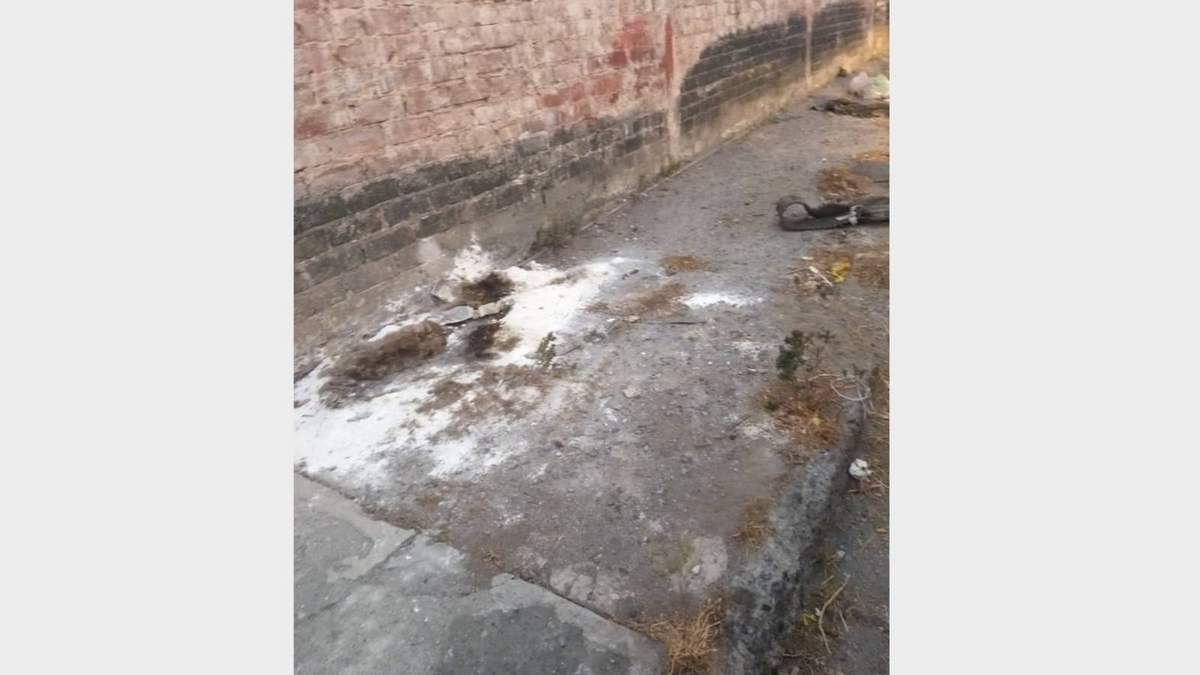 La calle donde fue abandonado el león muerto