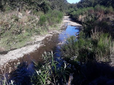 Villa La Angostura: se ratificó la presencia de desechos cloacales en Las Piedritas