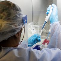 Estados Unidos inicia última fase de ensayos de tratamiento para el coronavirus