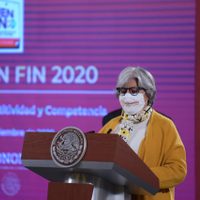 Cómo será el Buen Fin durante la pandemia